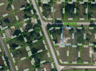 231 Sunflower Ave, Lake Placid, FL 33852