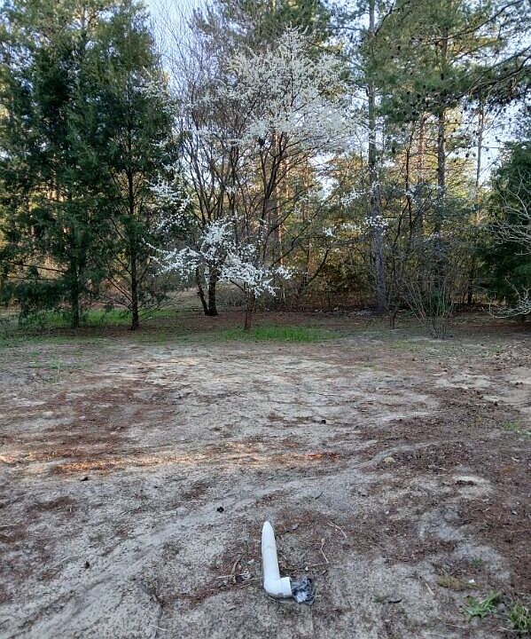 1st image of 87 Tangelo St