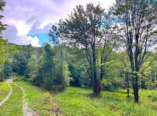 7801 Sky Ranch Rd, East Otto, NY 14729