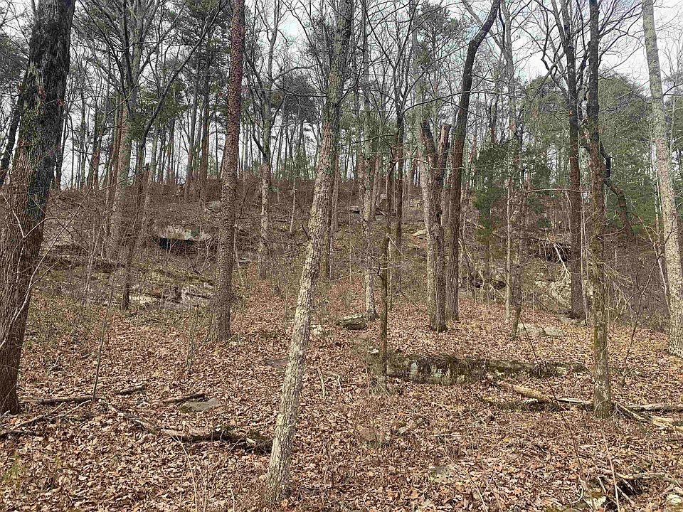 2nd image of 0 New Cut Rd