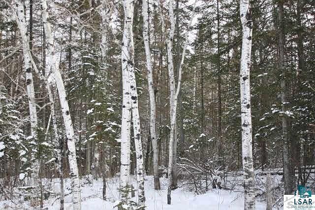 2nd image of 40 Acres Off County Rd B