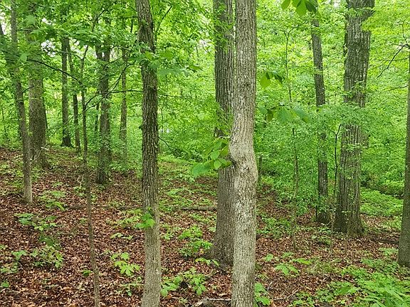 5th image of 163 Davis N Lake Rd