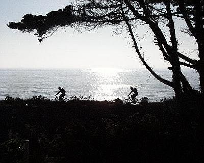 View from Front Porch