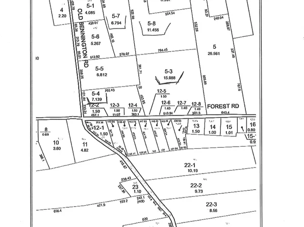 Old Bennington, County Road, Greenfield, NH 03047