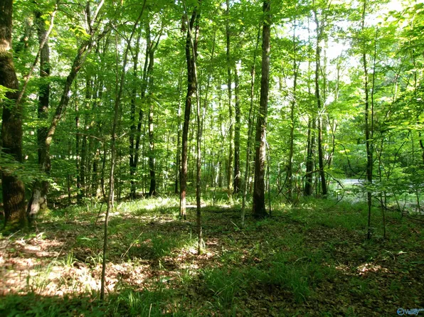 County Road 531, Scottsboro, AL 35768