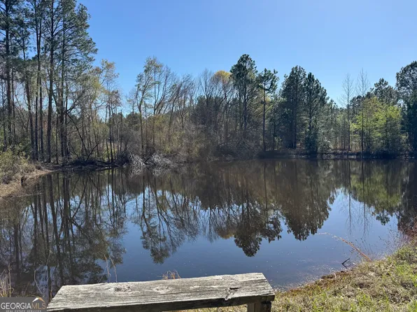 442 Fox Run Rd, Adrian, GA 31002