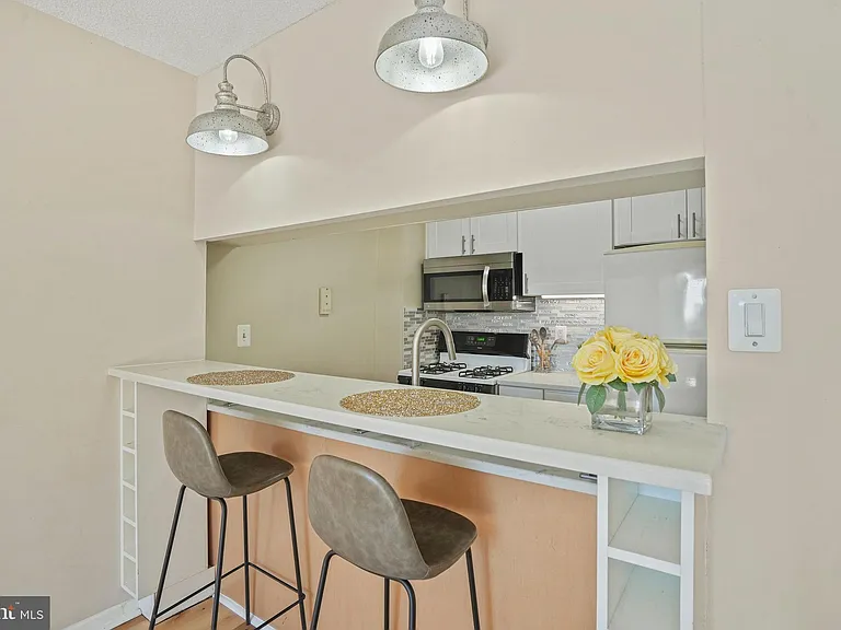 11801 Rockville Pike #207 — Photo 11