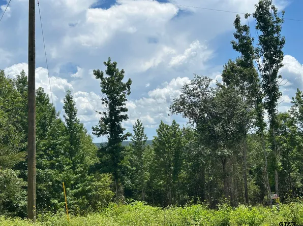 7399 County Road 378 S, Laneville, TX 75667
