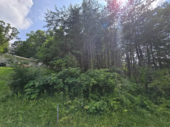 1466 Dandelion Cir, Morristown, TN 37814