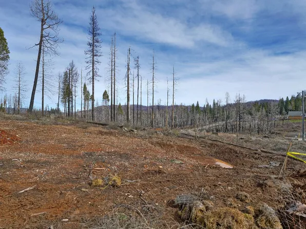 4908 Sciaroni Rd, Grizzly Flats, CA 95636
