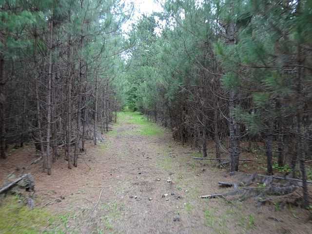1st image of ON Plantation Pines Dr