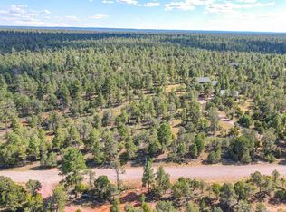 6592 Whispering Pine Dr #44, Happy Jack, AZ 86024