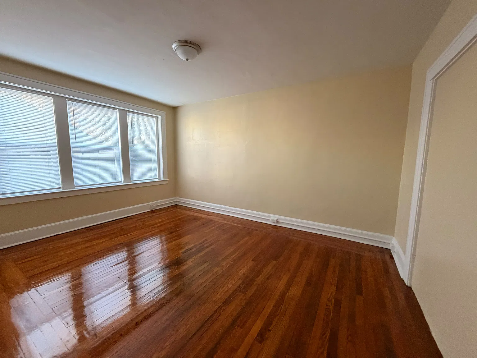 293 Norton St — Photo 3