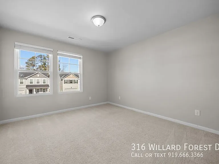 316 Willard Forest Dr — Photo 34