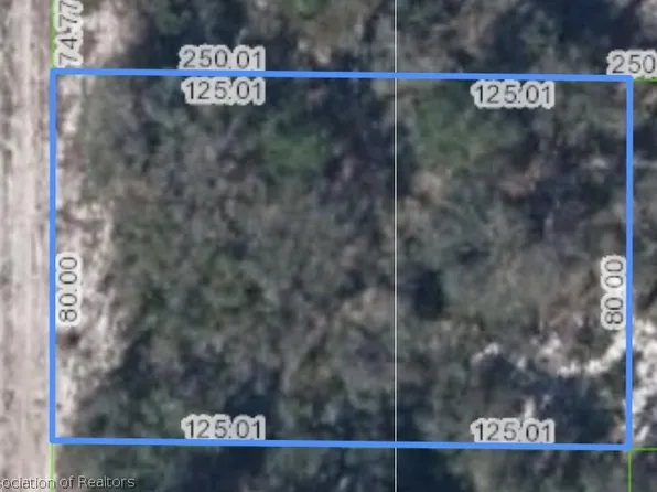 210 Delta Ave NW, Lake Placid, FL 33852