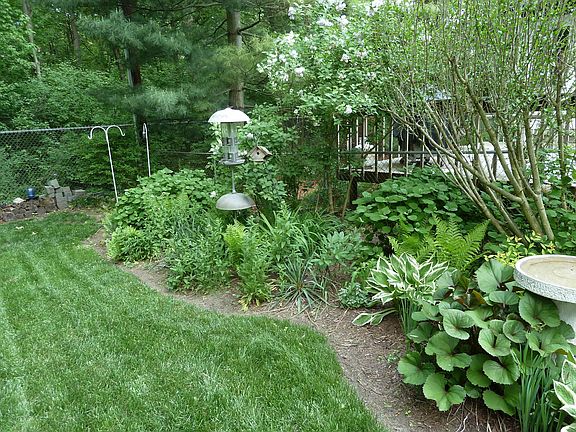 Nicely landscaped rear yard