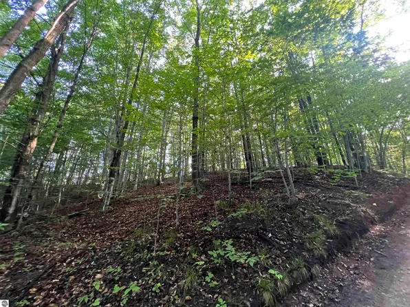 0 Narrow Gauge Rd, Beulah, MI 49617