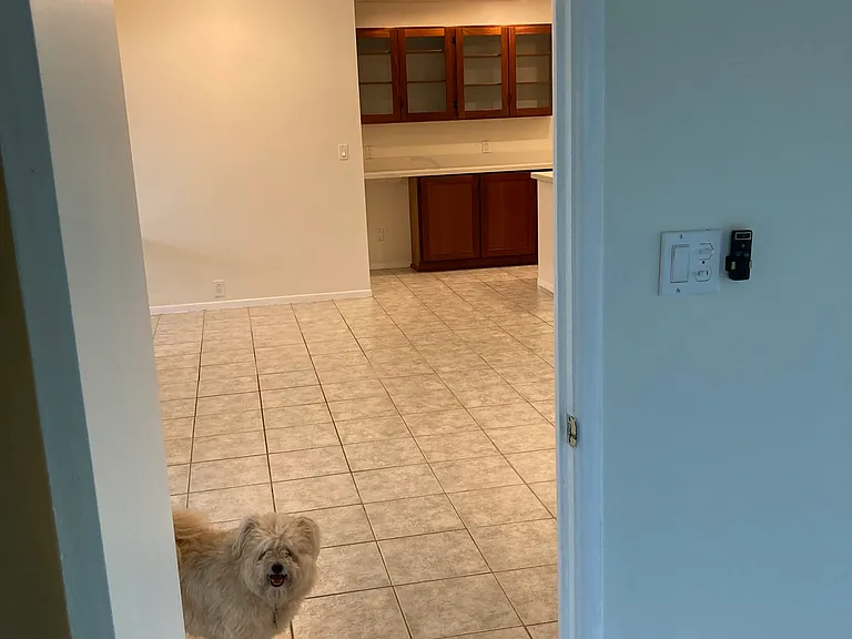 71 Aikahi Loop — Photo 15