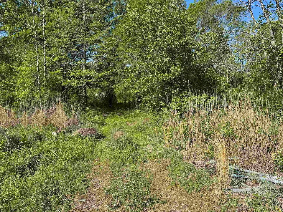 1st image of 11001 Home Ln