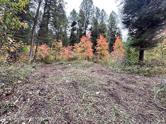 3rd image of LOT 60 Cedar Dr