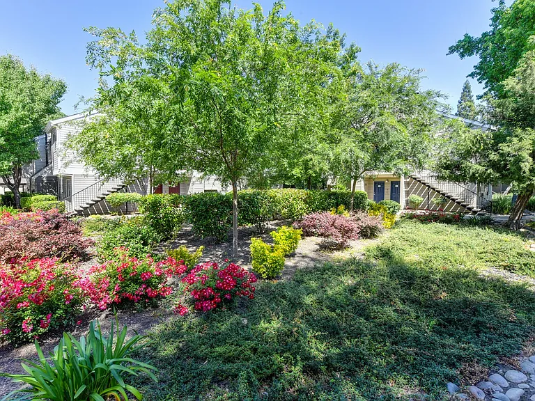 Green Outdoor Space