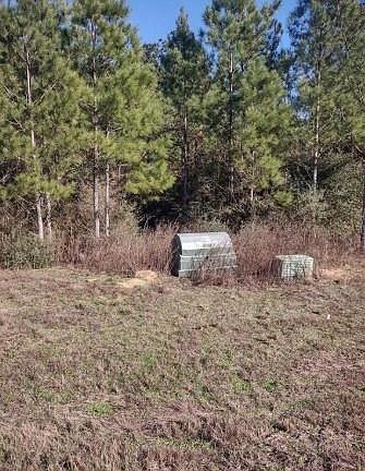 4th image of 16012 Wood Grove Way