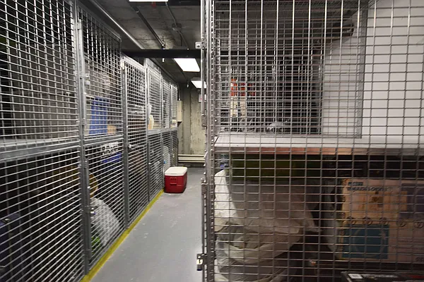 Rented by Bold New York | media 19