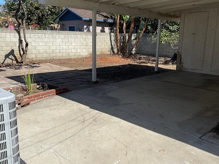 Back yard