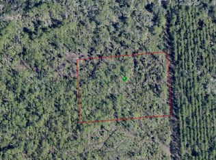 Lake Harney Rd Lot 127, Osteen, FL 32764
