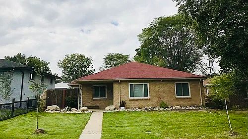 Yellow and red rose bushes and lilac bush in front yard