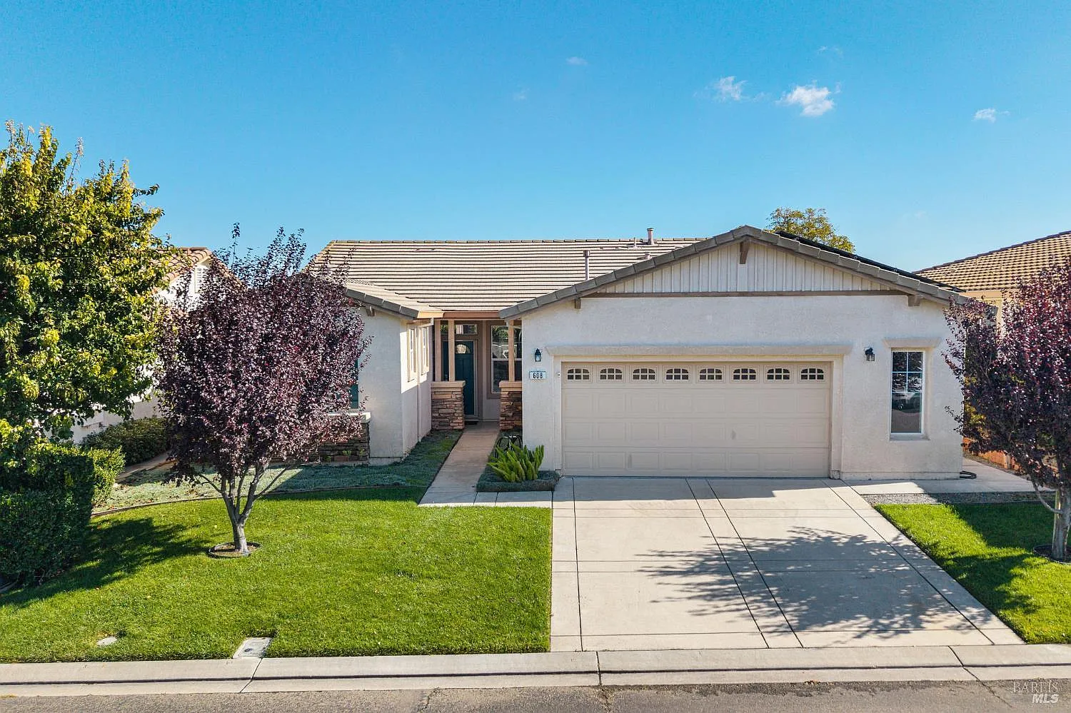 608 American Falls Drive photo 1