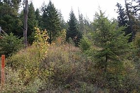 2nd image of 8 W Garfield Bay Rd