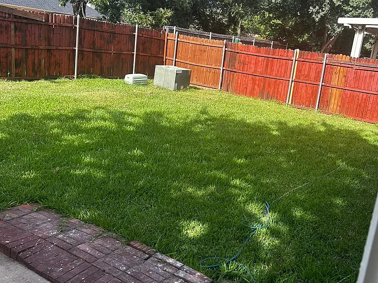 12637 Black Cherry Ln — Photo 21