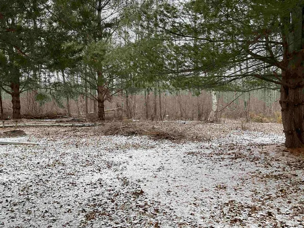 0 N Hockaday Rd, Gladwin, MI 48624