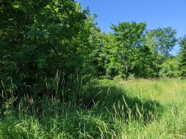 0 Stonegate Dr, Northville, MI 48168