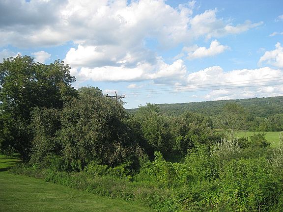 View off of back deck