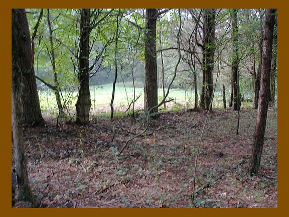 3rd image of Wolf Creek Road Bolton Dr