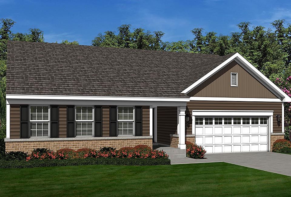 Elevation Image 1.