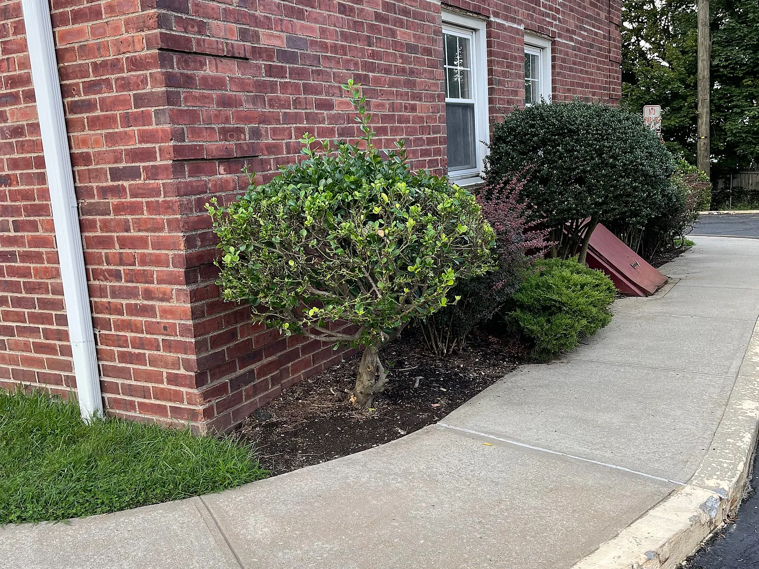 2 bed, 1100 sqft, $2,100 — Photo 2