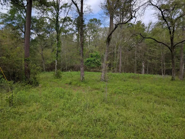 50 Jock St, Livingston, TX 77351