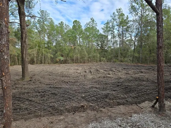 NE 127TH COURT LOT 8, WILLISTON, FL 32696