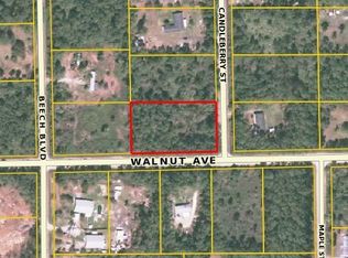 5364 Walnut Ave, Bunnell, FL 32110