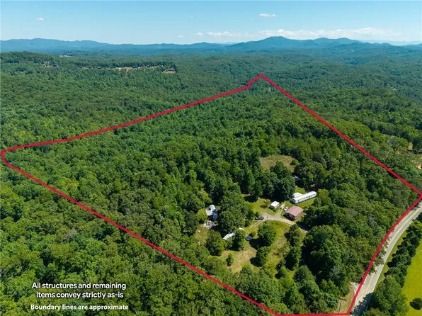 46 Green Kirby Ln #150, Blue Ridge, GA 30513
