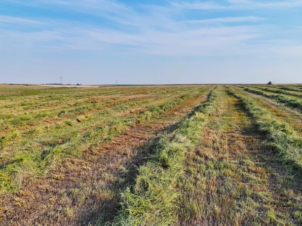 Road N, Sharon Springs, KS 67758
