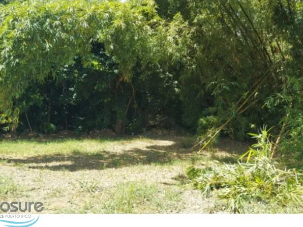 Gran Vis, Juncos, PR 00777