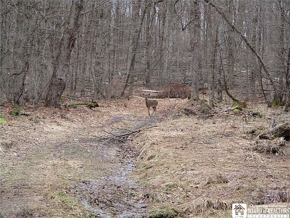 4th image of Homestead Rd