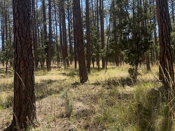 3rd image of Deer Ln