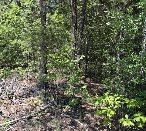 5th image of 7.66 Acs Keener Rd