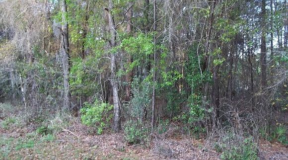 1st image of 8518 N Ocoee Ter