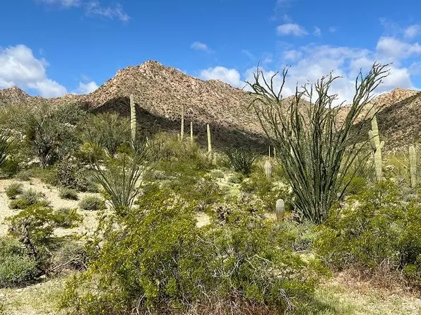 240 S Alley Rd, Ajo, AZ 85321